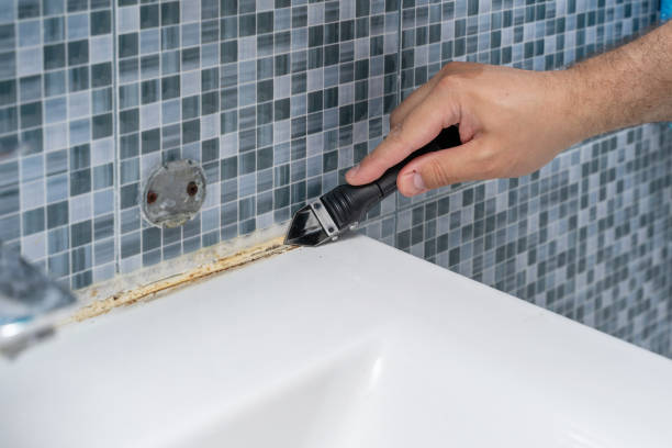 Best Certified Mold Removal  in Brookland, AR